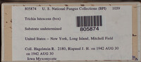 Image Associated With the Occurence